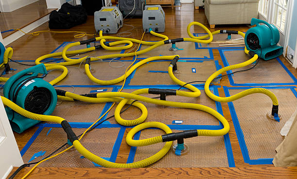 Professional Sewage Cleanup technician working in Roopville, GA